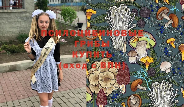 таблы Михайловск