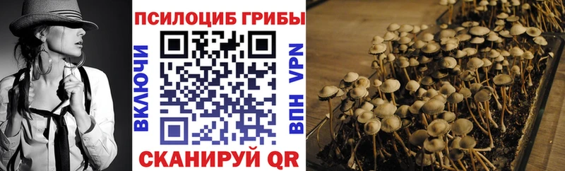 ОМГ ОМГ ссылки  Чехов  Галлюциногенные грибы GOLDEN TEACHER 